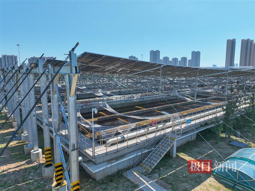 武汉黄家湖污水处理厂分布式光伏项目并网发电，每天可发电近2万度