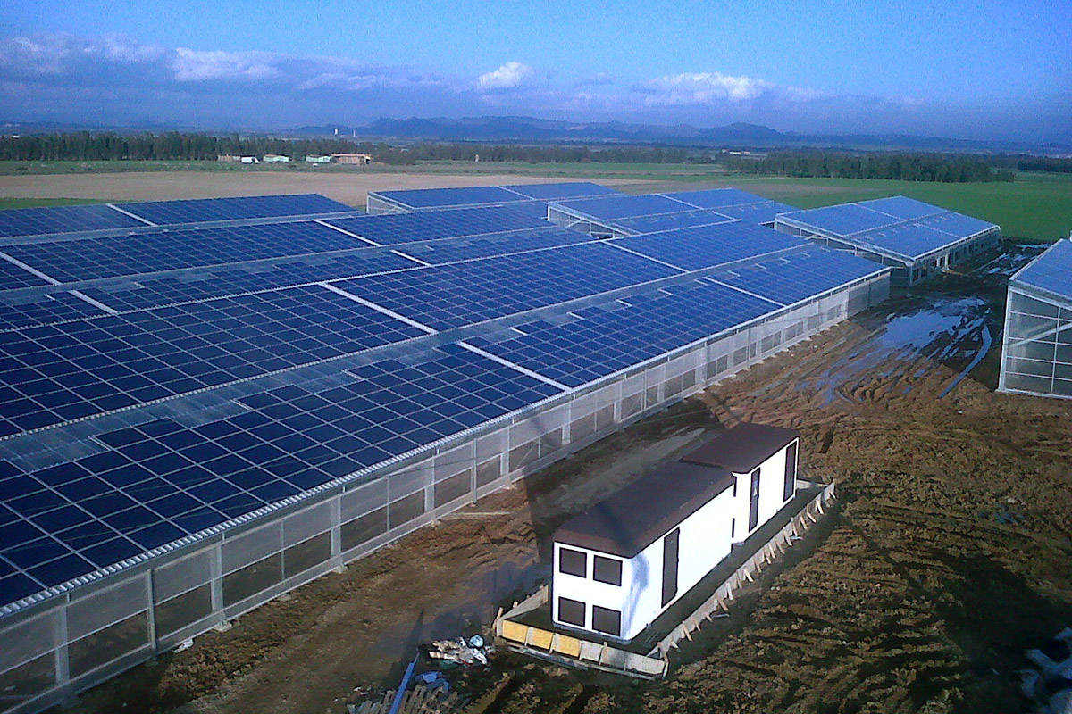 寿光欣欣农业 光伏大棚技术服务，引领现代农业绿色转型